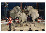 Tyrana og Ronald Spindler, Cirkus Benneweis 2003<br>Foto: Vibeke Maj Magnussen